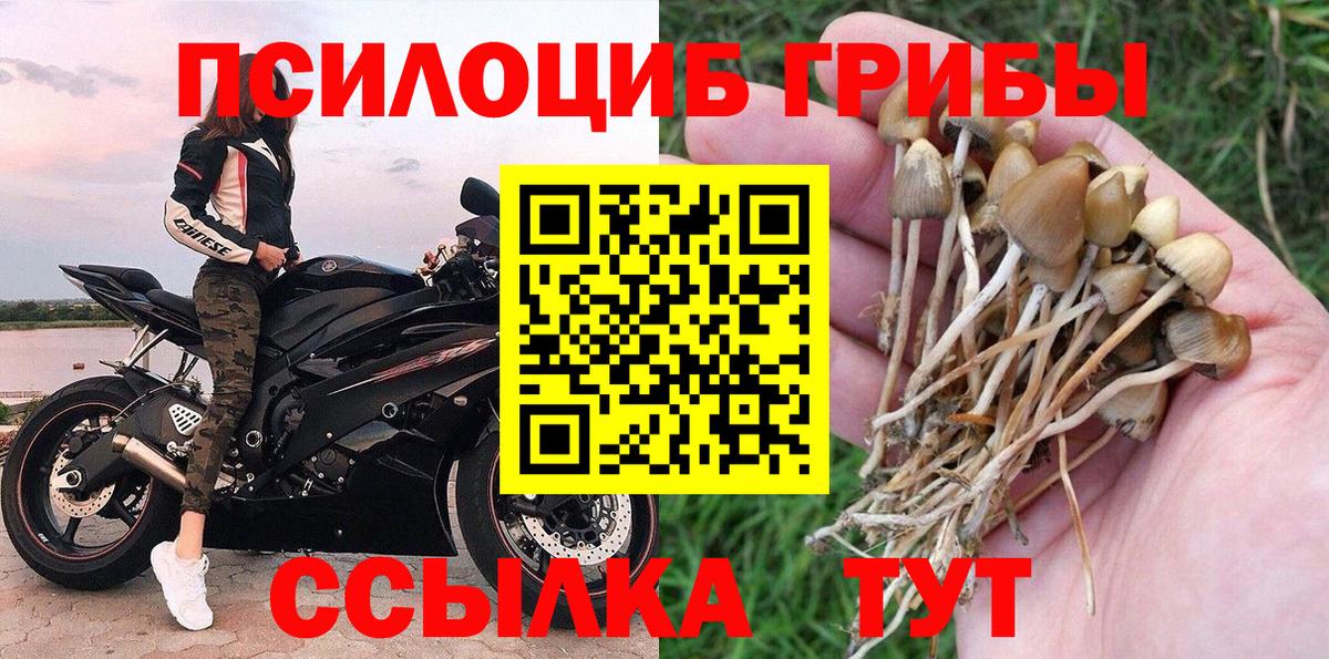 Псилоцибиновые грибы MAGIC MUSHROOMS Омск